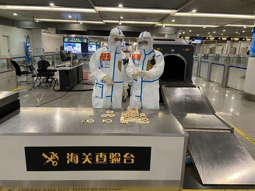 警惕！回蓉旅客攜帶象牙手鐲被成都海關查獲，教學模型制造需守法規